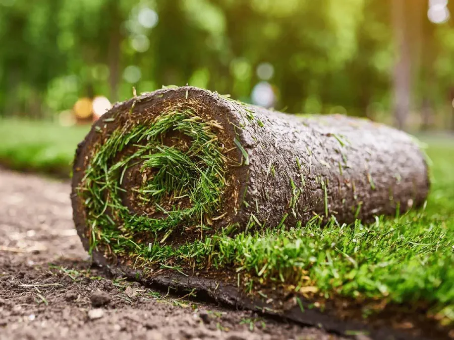 Verse graszoden rollen klaar voor leggen