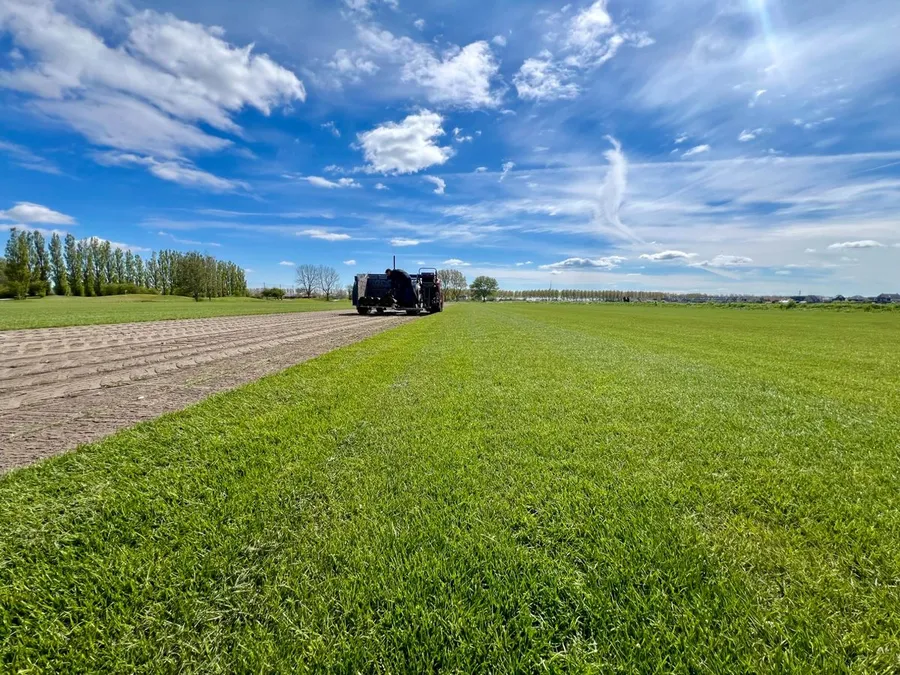 Graszodenmachine snijdt verse graszoden op eigen veld — Berkhout Graszoden Noord-Holland